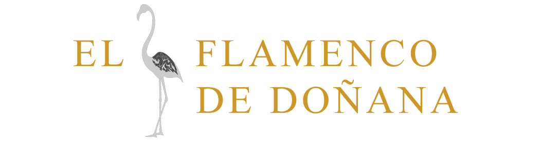 El Flamenco de Donaña